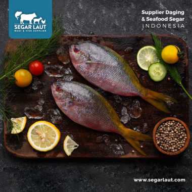 Ikan Ekor Kuning | FRESH Dibersihkan
