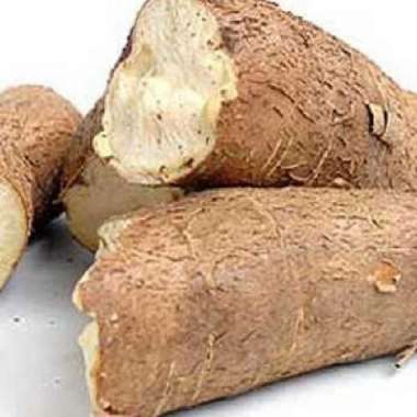 Singkong mentah 1 kg