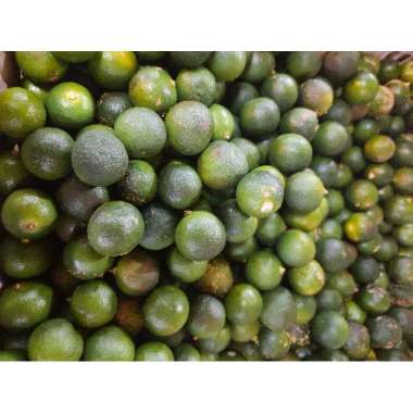 Jeruk Sonkit/Lemon Cui 1 kg