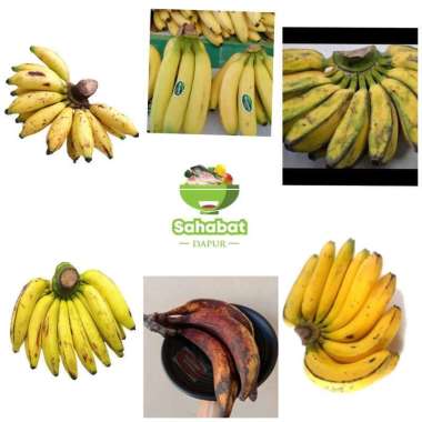 Pisang Kepok/Pisang Tanduk/Pisang Lampung/Pisang Ambon/Pisang Uli/Pisang Sunpride - BawangBagus pisa