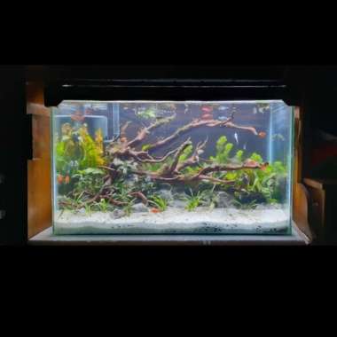 aquascape tema natural fullset jadi Multicolor
