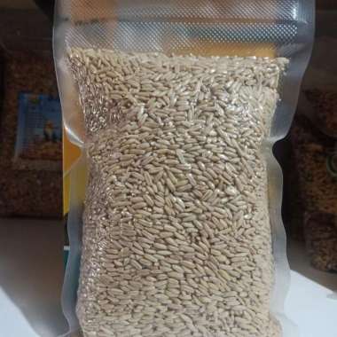 Haver Seed Kupas 250 Gr Makanan Burung Lovebird Canary Kenari Dll