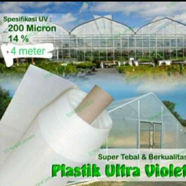 plastik uv lebar 4 meter x panjang 40 meter 200 micron Multicolor