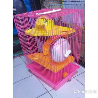 Kandang Hamster-Kucing-Sugar Glider Boom Oren Varian Based Information