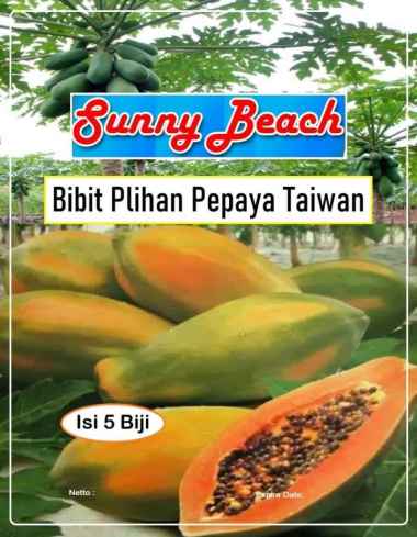 Bibit Pilihan Pepaya Taiwan | Benih Buah Pepaya | Biji Bibit Pepaya