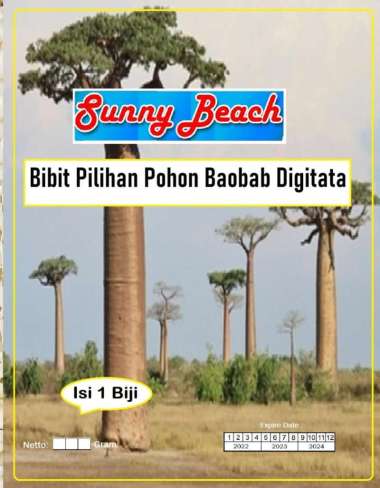 Bibit Pilihan Pohon Baobab Digitata|Bibit Benih Baobab|Pohon Kehidupan