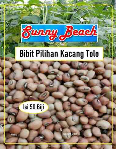 Bibit Pilihan Kacang Tolo | Benih Kacang Tolo | Bibit Kacang Tunggak