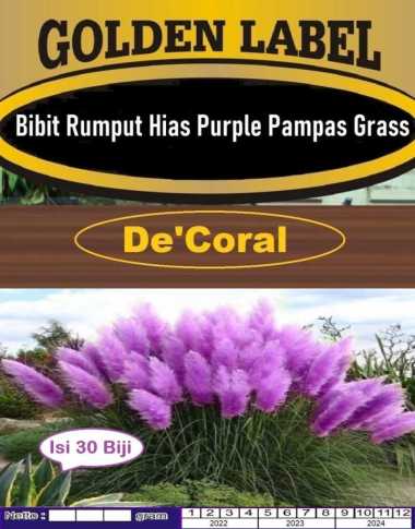 Bibit Rumput Hias Purple Pampas Grass|Benih Rumput Ungu Lembut|Rumput