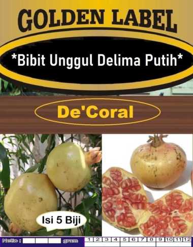 Bibit Unggul Buah Delima Putih| Delimo|Benih Biji Delima Putih| Delima