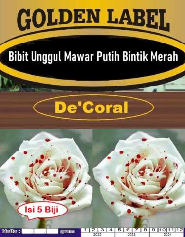 Bibit Unggul Bunga Mawar Putih Bintik Merah|Benih Mawar Putih Merah