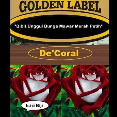 Bibit Unggul Bunga Mawar Merah Putih |Benih Bunga Merah Putih |Rose