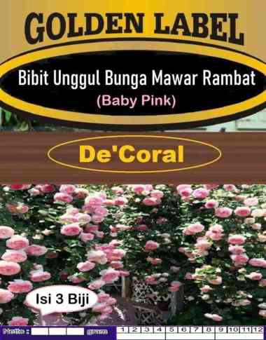 Bibit Unggul Bunga Mawar Rambat Baby Pink|Biji Benih Mawar Rambat Pink
