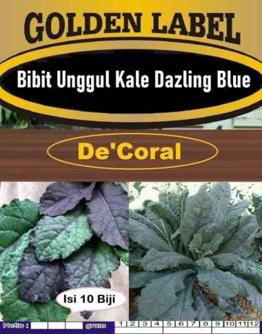 Bibit Unggul Kale Dazzling Blue | Biji Benih Kale Dazzling Blue|Kale