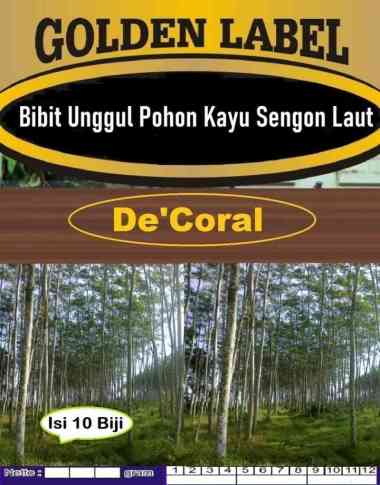 Bibit Unggul Pohon Kayu Sengon Laut|Biji Bibit Sengon Laut|Benih Kayu