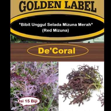 Bibit Unggul Selada Mizuna Merah | Benih Selada Mizuna Merah