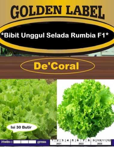 Bibit Unggul Selada Rumbia F1 | Benih Selada Rumbia F1 | Bibit Selada