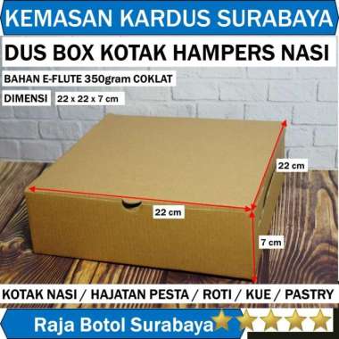 Dus Kotak Box Hampers Nasi 22x22x7 Coklat Corrugated Eflute