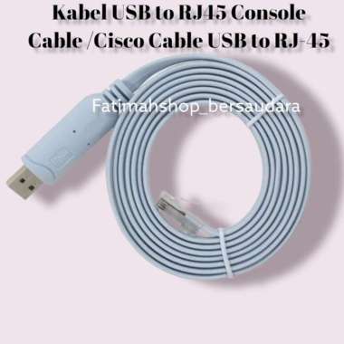 Kabel USB to RJ45 Console Cable /Cisco Cable USB to RJ-45 Multicolor