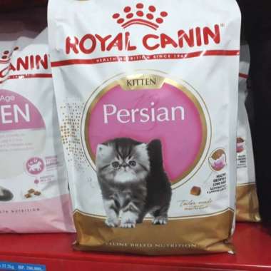 Rc sales 32 kitten