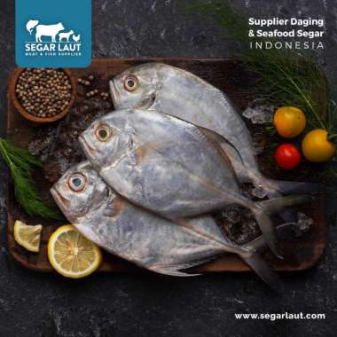 Ikan Kuwe Gepeng | FRESH Dibersihkan