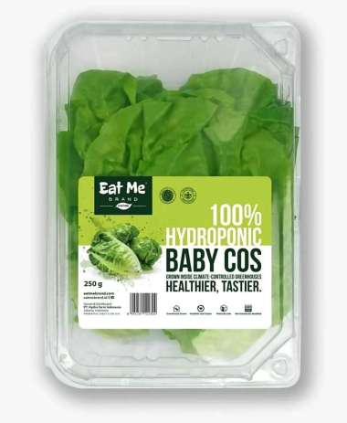 LETTUCE BABY COS EAT ME