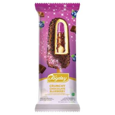 Joyday - Crunchy Chocolate Blueberry 75g