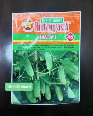 Benih Bintang Asia - Timun Lalab/Lalap Semi F1 Kemasan 10 gr