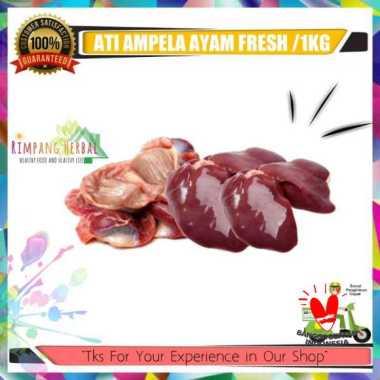 ati ampela / ati ampela ayam / ayam potong segar / rimpang herbal 1 KG