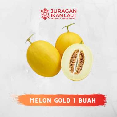 Buah Melon Golden Segar Berkualitas - 1 Buah