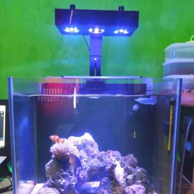 lampu aquarium laut Multicolor