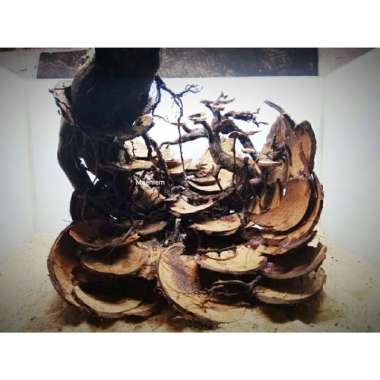 hardscape aquascape ukuran 30*30*30 Multicolor