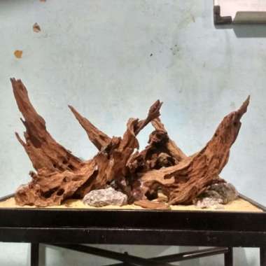 hardscape aquascape natural 60cm Multicolor