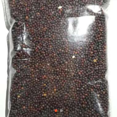 Biji Sawi 1 kg Makanan Pakan Burung Lovebird Canary Kenari Lovebird