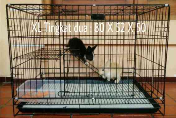 Kandang Kucing Hamster Kelinci ( Kandang Tingkat ) Varian Based Information