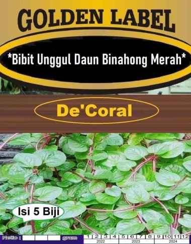 Bibit Daun Binahong Merah | Biji Benih Binahong Merah | Daun Binahong