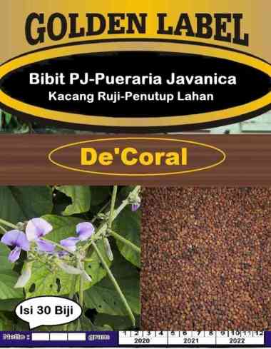 Bibit Pueraria Javanica | Benih Kacang Ruji | Penutup Lahan