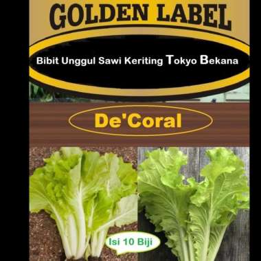 Bibit Sawi Keriting Tokyo Bekana | Benih Sawi Tokyo Bekana