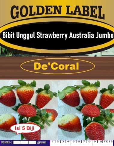 Bibit Strawberry Australia Jumbo |Biji Benih Stroberry Australia Jumbo