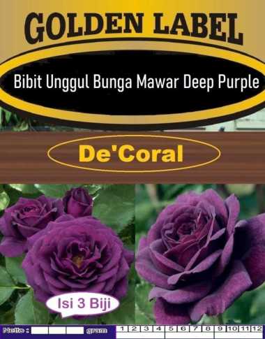 Bibit Unggul Bunga Mawar Deep Purple|Biji Benih Mawar Deep Ungu|Rose