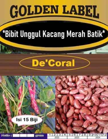 Bibit Unggul Kacang Merah Batik | Benih Kacang Merah Lurik