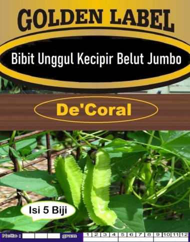Bibit Unggul Kecipir Belut Jumbo | Biji Benih Kecipir Jumbo