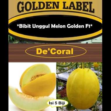 Bibit Unggul Melon Golden F1 | Benih Melon Golden F1