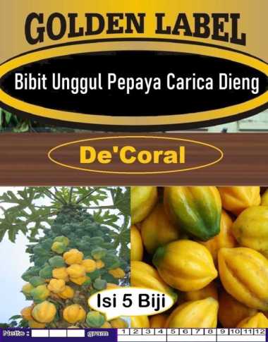 Bibit Unggul Pepaya Carica Dieng|Benih Pepaya Dieng|Bibit Buah Carica