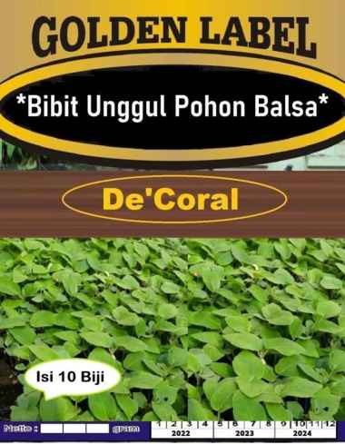 Bibit Unggul Pohon Balsa|Benih Pohon Balsa|Bibit Pohon Kayu Balsa