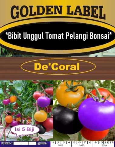 Bibit Unggul Tomat Pelangi Bonsai | Benih Tomat Rainbow Bonsai