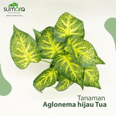 Tanaman Sintetis / Tanaman Artificial Aglonema - Hijau Merah Hijau Tua