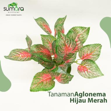 Tanaman Sintetis / Tanaman Artificial Aglonema - Hijau Merah Hijau Merah
