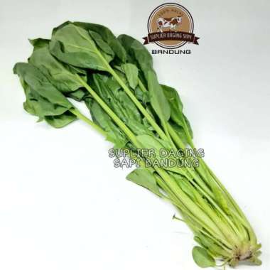 BAYAM JEPANG SEGAR / HORENSO FRESH 250gr
