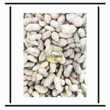 Kacang Kulit Sangrai - Kacang Goreng Pasir 250gr
