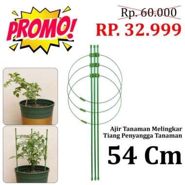 ajir tanaman melingkar/rak penyangga tanaman merambat 54 cm Multicolor